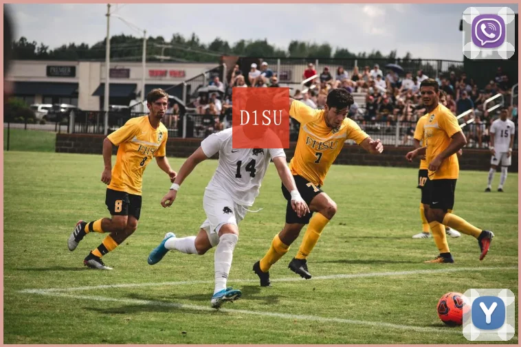 D1SU